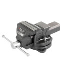 Лещата поворотні Intertool - 100 мм x 5,85 кг (HT-0081)