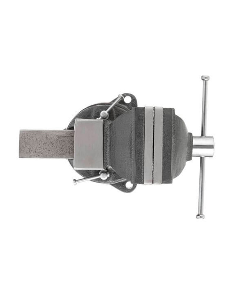 Лещата поворотні Intertool - 100 мм x 5,85 кг (HT-0081)