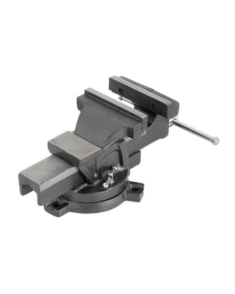 Лещата поворотні Intertool - 125 мм x 8,3 кг (HT-0082)