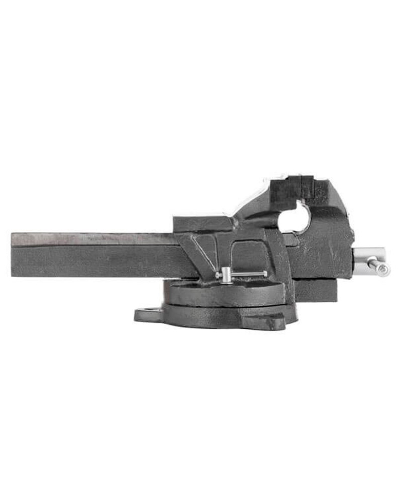 Лещата поворотні Intertool - 150 мм x 10,05 кг (HT-0083)