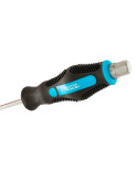 Викрутка ударна Mastertool - РН1 x 100мм HEX (49-6110)
